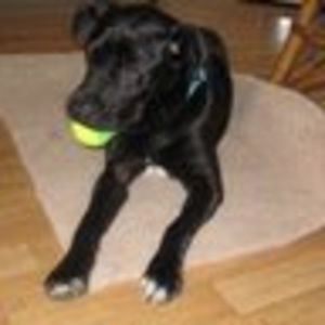 Meet your Posher, Jeanne